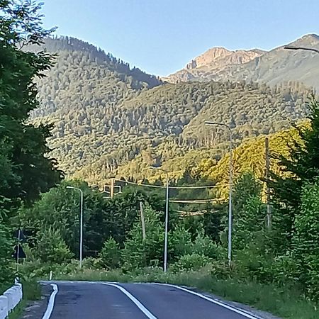 Pensiunea Dates Кирцишоара Екстер'єр фото