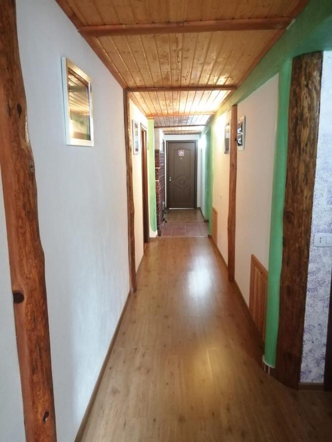 Pensiunea Dates Кирцишоара Екстер'єр фото