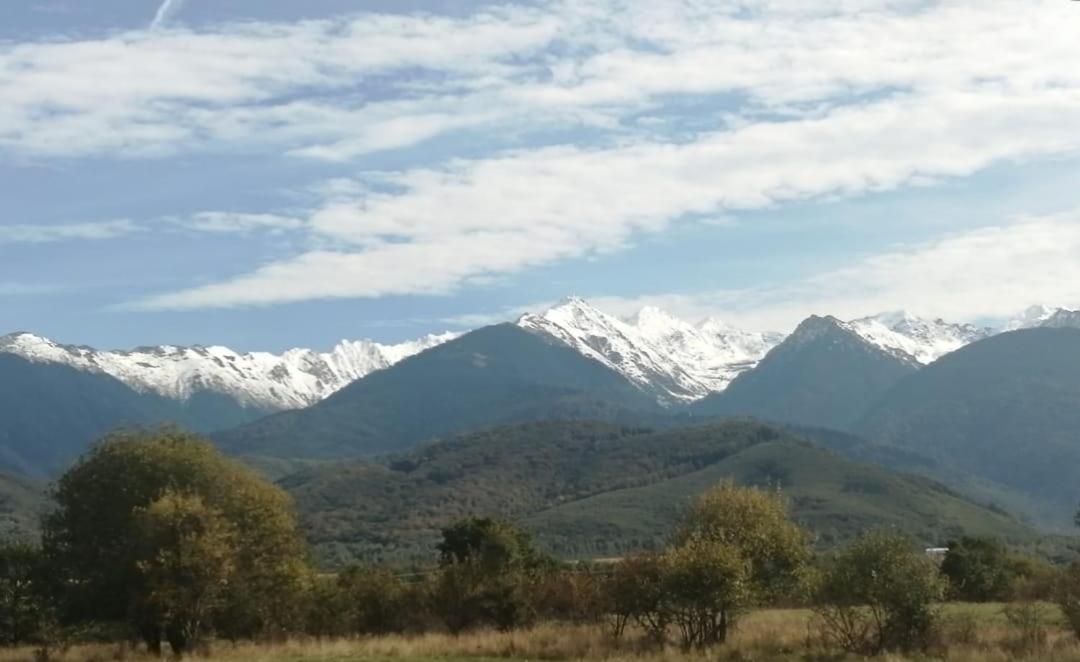 Pensiunea Dates Кирцишоара Екстер'єр фото